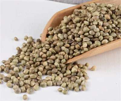 火麻仁提取物 主要成分火麻仁蛋白