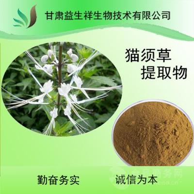 貓須草提取物 貓須草粉 歡迎采購 甘肅益生祥批發價格@甘肅蘭州 甘肅益生祥生物技術 植物提取物-