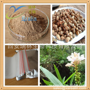 植物提取物-廠家現(xiàn)貨供應(yīng)益智仁提取物,濕脾止瀉優(yōu)質(zhì)原料-植物提取物盡在阿里巴巴-.